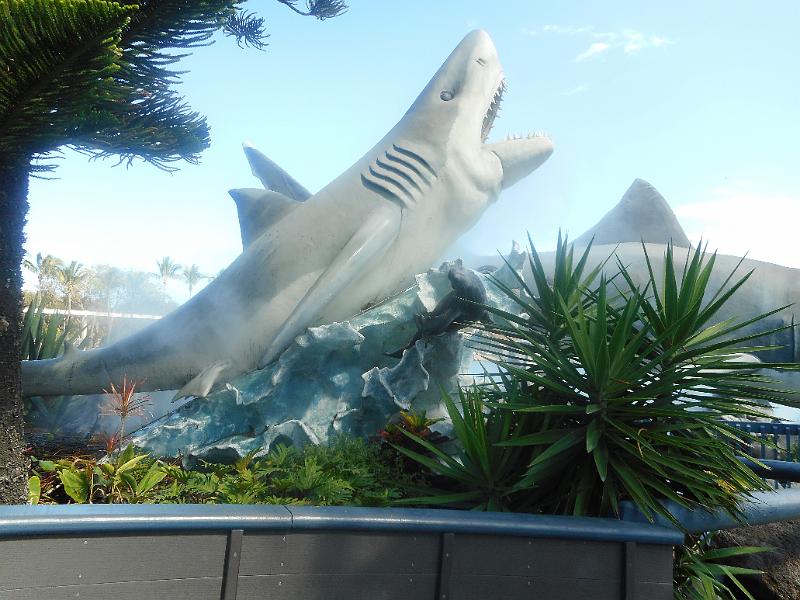 DSCN0940.JPG