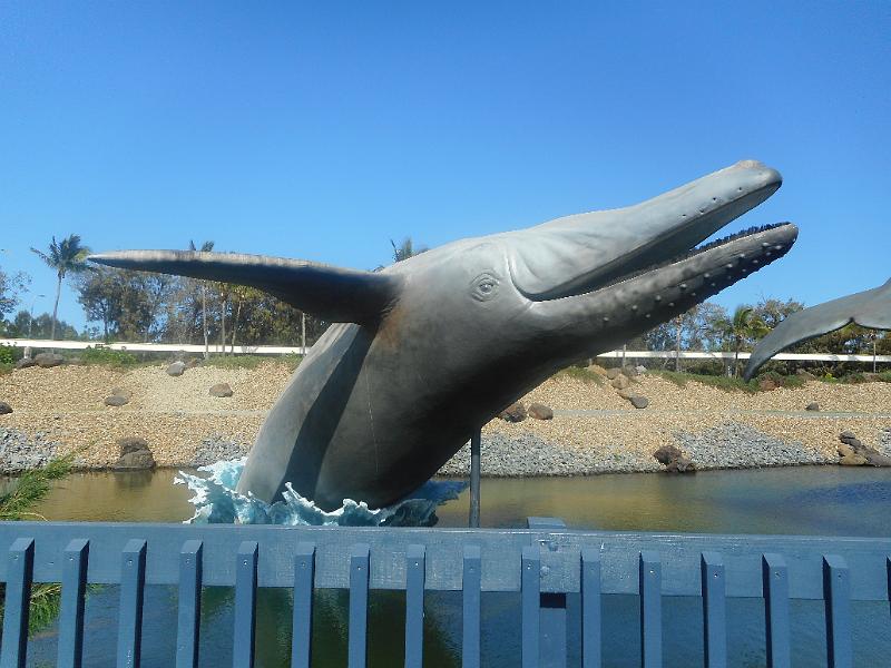 DSCN0945.JPG