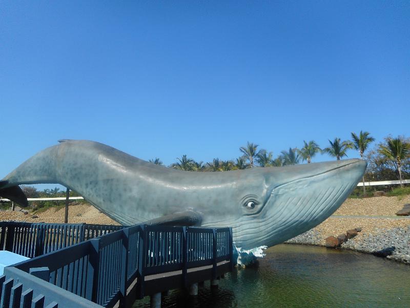 DSCN0946.JPG