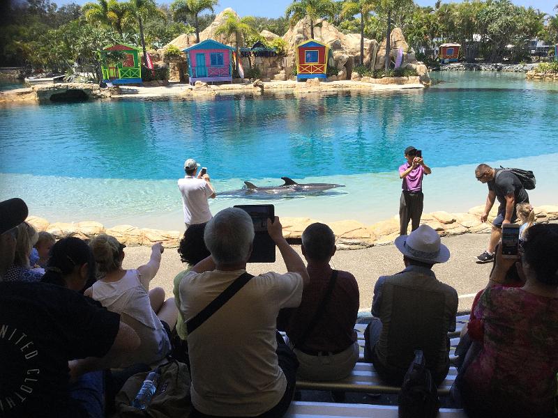 IMG_1083.jpg