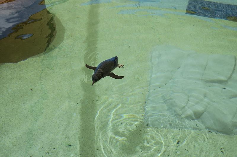 IMG_2645.JPG