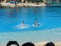 DSCN0890