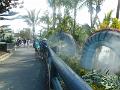 DSCN0942