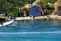 IMG_2620