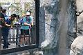 IMG_2660