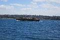 IMG_3065