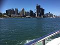 IMG_1274