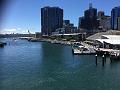 IMG_1349