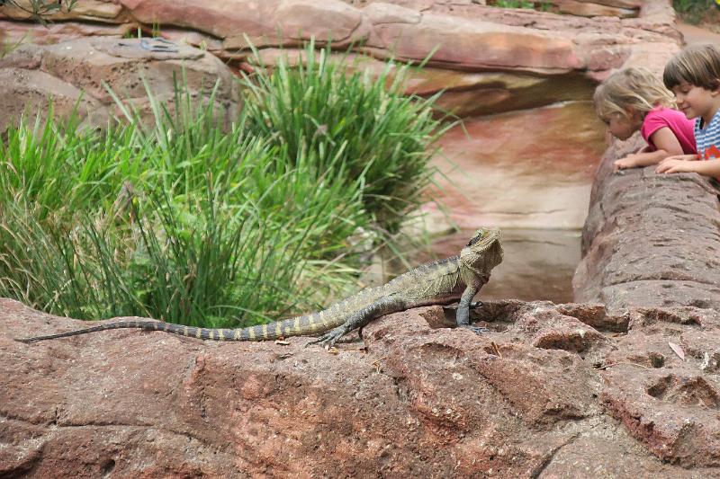 IMG_0339.JPG