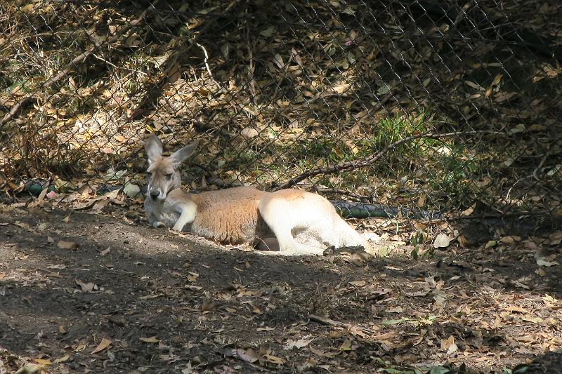 IMG_0489.JPG