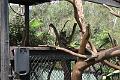 IMG_0421