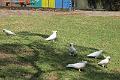 IMG_0501
