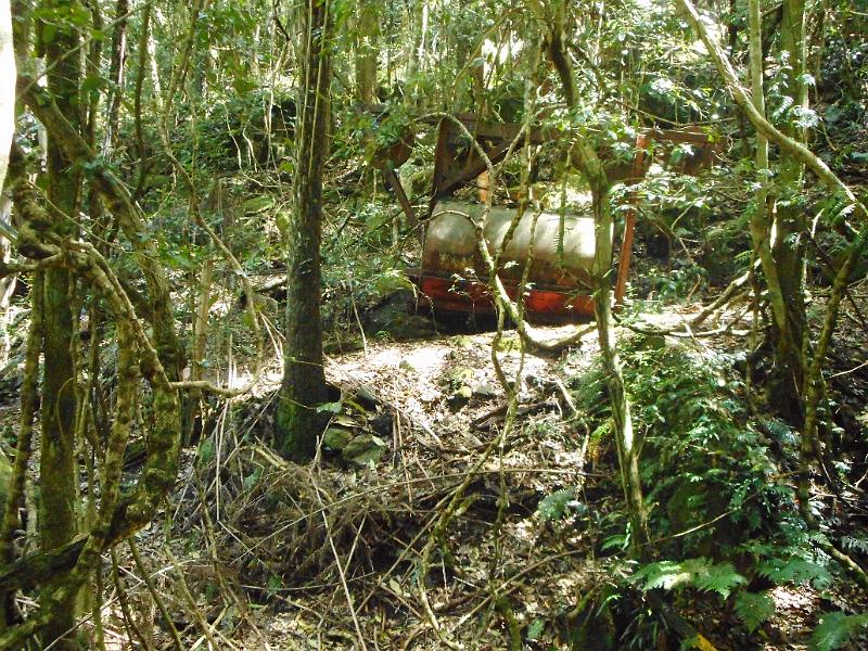 DSCN0259.JPG