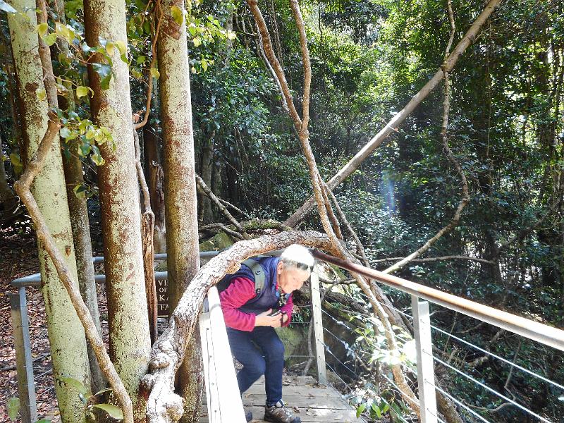 DSCN0262.JPG