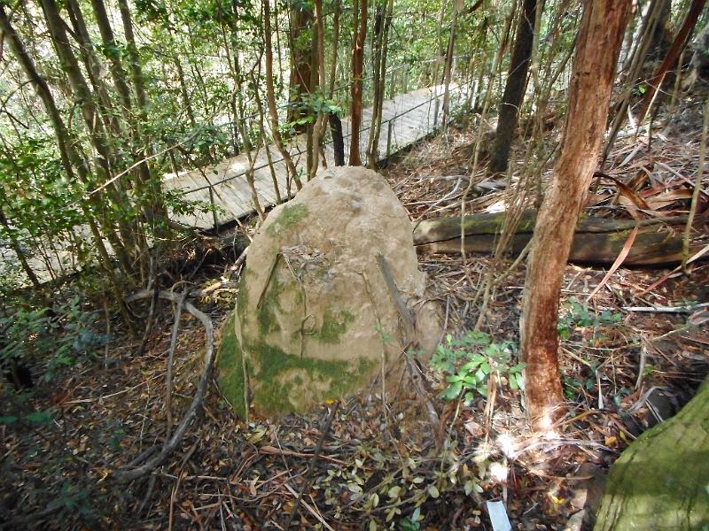 DSCN0274.JPG