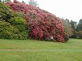 DSCN0225