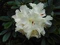 DSCN0237