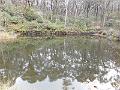DSCN0240