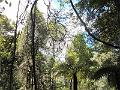 DSCN0267