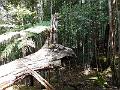 DSCN0271