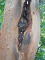 DSCN0276