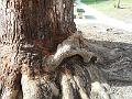 DSCN0284