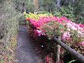 IMG_0578