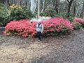 IMG_0583
