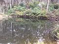 IMG_0590