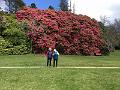 IMG_0600