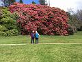 IMG_0601