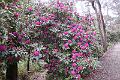 IMG_0747
