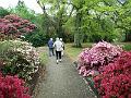 IMG_20171015_140231