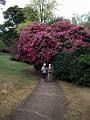IMG_20171015_140339