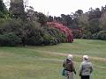 IMG_20171015_140802
