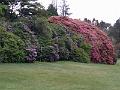 IMG_20171015_141004