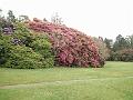 IMG_20171015_141219