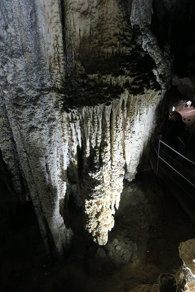 IMG_0901.JPG