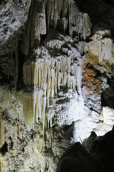 IMG_0955.JPG