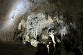 IMG_0886