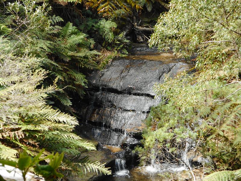 DSCN0319.JPG
