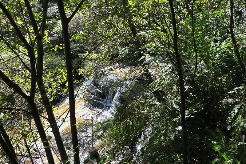 IMG_1068.JPG