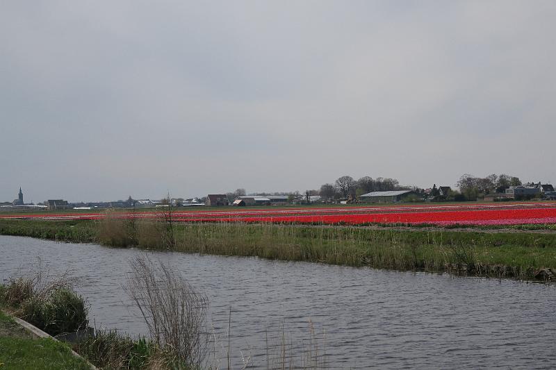 IMG_9652.JPG