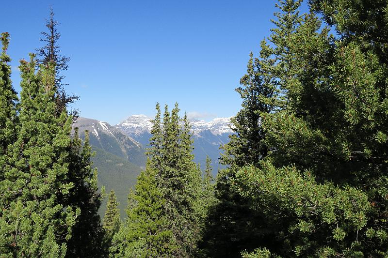 IMG_3914.JPG