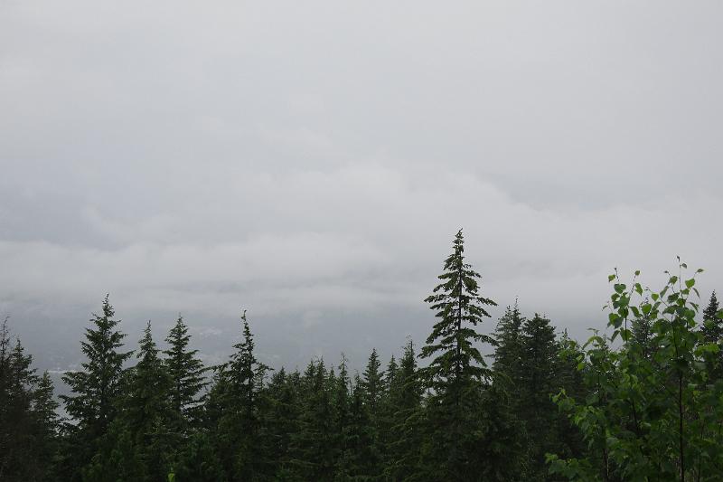 IMG_4549.JPG