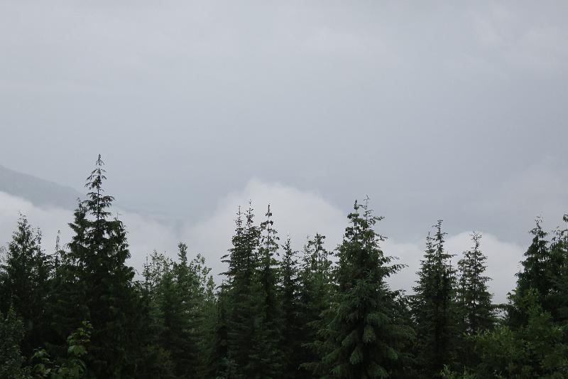 IMG_4557.JPG