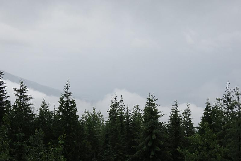 IMG_4558.JPG