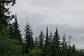 IMG_4555