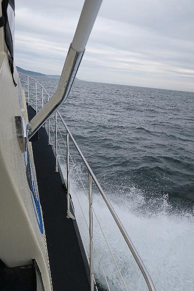 IMG_5240.JPG