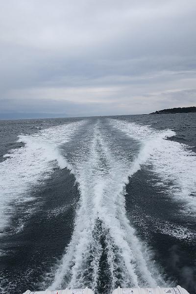 IMG_5242.JPG